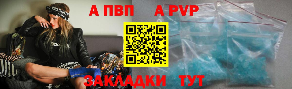 A PVP СК КРИС Кемерово