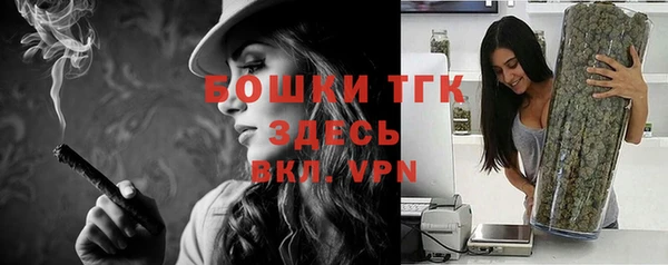 стафф Алексин