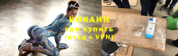 стафф Алексин