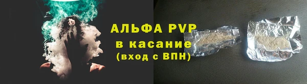 стафф Алексин