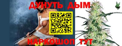 Альфа ПВП Краснознаменск