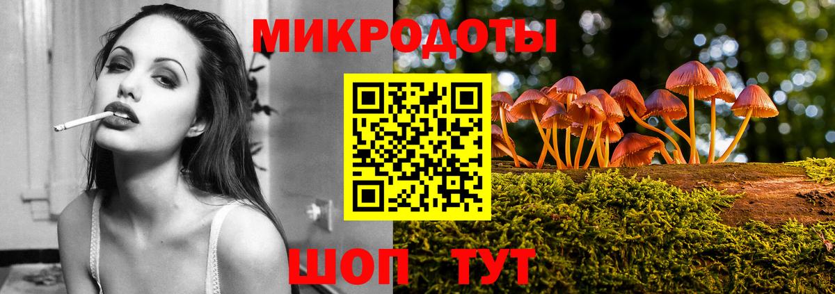 Кемерово  Галлюциногенные грибы прущие грибы  Вход с VPN  Псилоцибиновые грибы GOLDEN TEACHER 