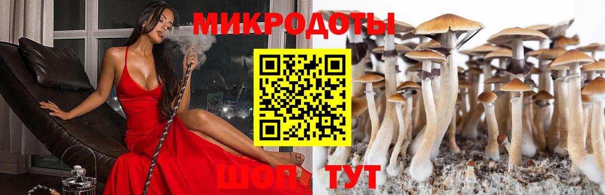 Псилоцибиновые грибы GOLDEN TEACHER Кемерово